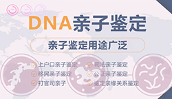 简阳市DNA亲子鉴定医院地址在哪里，简阳市专业DNA亲子鉴定医院