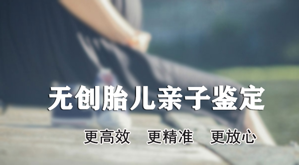 简阳市胎儿亲子鉴定需要什么流程, 简阳市胎儿亲子鉴定需要什么流程,